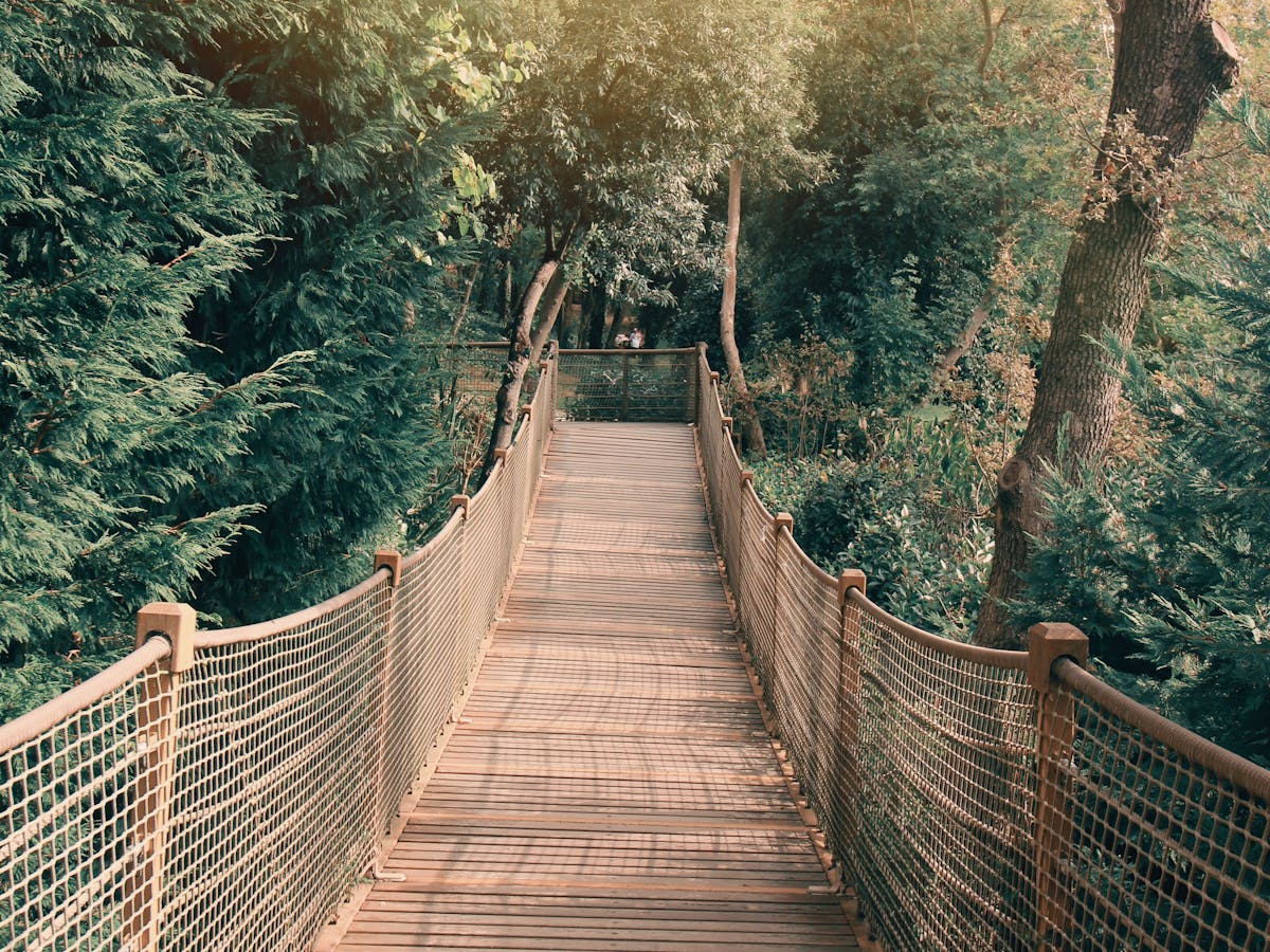 Bridge — representing connection and neutral ground