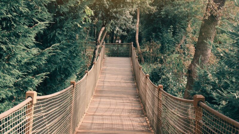 bridge-neutral-ground